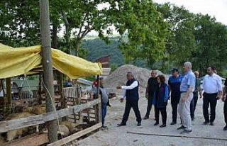 Yetkilerden kurban uyarısı: Cadde, sokak ve parkta...