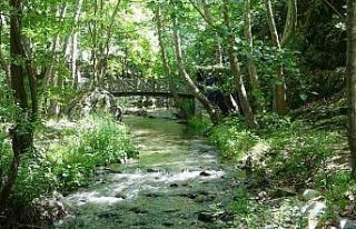 Yılda 40 bin kişi bu kanyonu görmek için yollara...