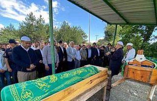 Yıldırım düşmesi sonucu hayatlarını kaybeden...