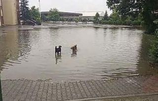 Yolu su bastı, esnaf ise sandalyesini alıp keyif...