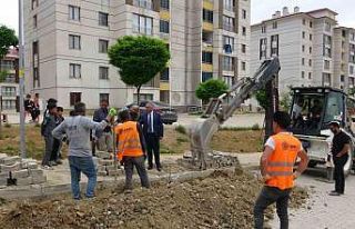 Yüksekovalılar bu kış doğalgaz kullanmaya başlıyor