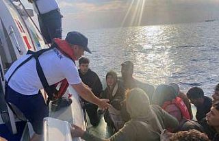 Yunanlıların geri ittiği 37 düzensiz göçmen...
