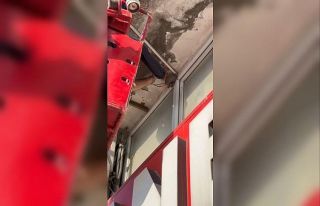 Yuvasından düşen yavru kuşun yardımına itfaiye...