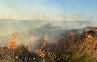 100 dönüm anız cayır cayır yandı: İstanbul-Edirne...