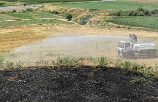 100 dönümlük otluk alanda çıkan yangın, yerleşik...