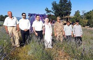 100 haneli köyünü mor turizme devlet desteğiyle...