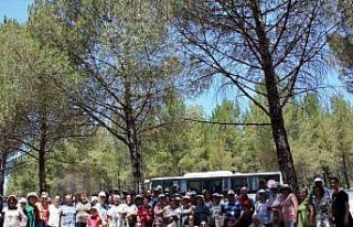 100 yaş evi üyeleri piknikte buluştu