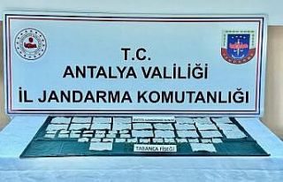 10 bin kullanımlık bonzai satılamadan yakalandı