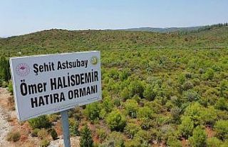 15 Temmuz Şehitleri ve Demokrasi Hatıra Ormanları’nda...