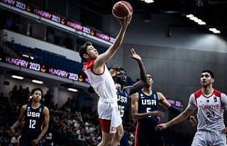 19 Yaş Altı Erkek Basketbol Milli Takımı, Dünya...