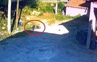 1 kişinin hayatını kaybettiği, 1 kişinin de yaralandığı...