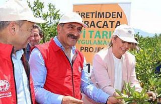 2023 yılı narenciye ihracatında hedef 1 milyar...