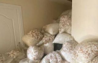 25 milyon 450 bin kaçak makaron ele geçirildi