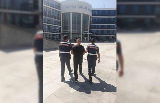 29 ayrı suç kaydı olan şahıs jandarmadan kaçamadı
