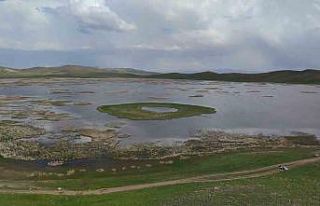 2 bin 800 yıllık Keşiş Gölü kurumak üzere