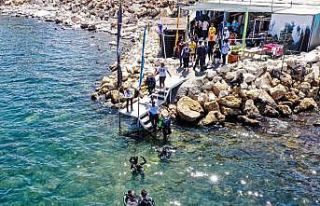 2. Van Denizi Yüzme Festivali başladı