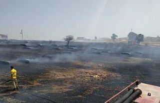 30 dönümlük alan küle döndü