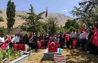 30 yıldır dinmeyen acı