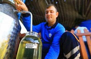 32 tür tıbbi-aromatik bitkinin distilasyonu yapıldı