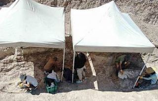 7,5 milyon yıllık kazılarda insan arayışı devam...