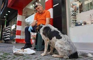 7 yıl önce yaralı halde iş yerinin önüne gelen...