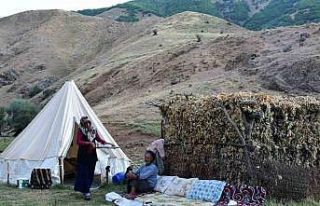 85 yaşındaki Kerem dede yayladan vazgeçmiyor