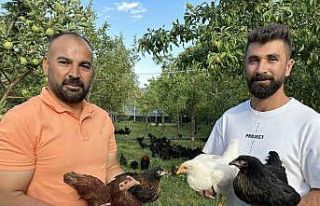 8 civcivle işe başlayan 4 öğretmen bin 200 tavuklu...