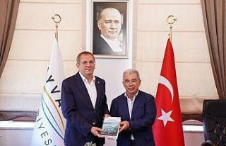 AB ülkelerinin Türklere uyguladığı vize sorununun...