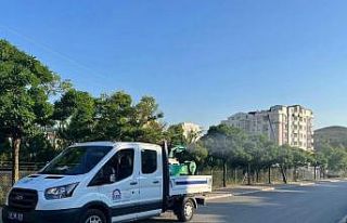 Açık alanlara durgun su bırakmak sinek oluşumunu...