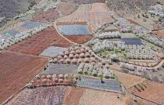 Adana Büyükşehir’den üreticiye destek