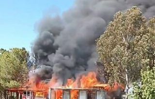 Adana’da kafede çıkan yangın ormana sıçradı