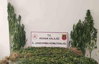 Adana’da uyuşturucu ile mücadele 14 şahıs yakalandı