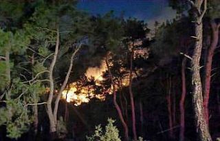 Adana’daki orman yangını kontrol altına alındı