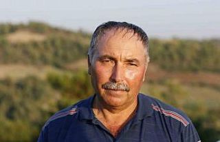 Adana’daki orman yangınında sabotaj iddiası