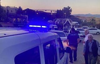 Adıyaman’da 9 silah ele geçirildi