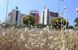 ADÜ Hastanesi’nden kaçan psikiyatri hastası dehşet...