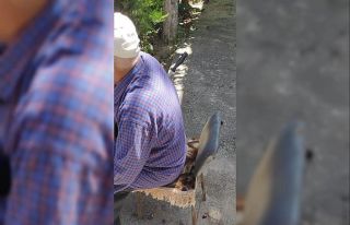 Afyonkarahisar’da dehşete düşüren fotoğraf