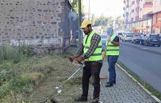 Ağaçlar budanıp yabani otlar temizlendi