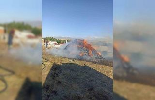 Ağrı’da bir bahçe küle döndü