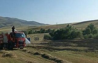 Ağrı’da bir tarla küle döndü