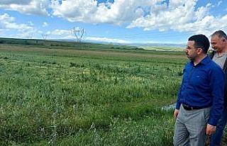 AK Parti Kars Milletvekili Çalkın’dan aşırı...