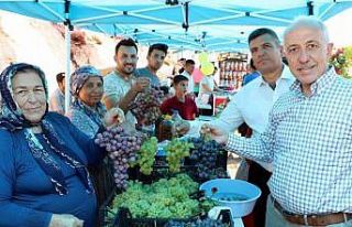 Akdeniz Belediyesi, Esenli Üzüm Şenliğine hazır