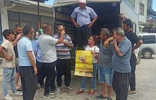 Akdeniz meyve sineği ile mücadele başladı