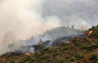 Akdeniz’deki orman yangınlarında en az 40 kişi...