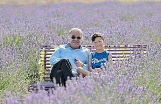 Aksaray Belediyesinin lavanta bahçesi ziyaretçilerin...