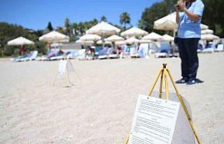 Alanya plajlarında caretta caretta yumurtaları otellerin...