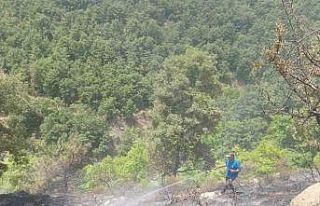 Alaşehir’deki orman yangını kontrol altında