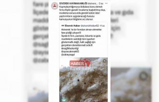 Aldığı ekmekten fare pisliği çıktı, fırın...