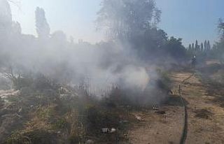 Alevlerin arasında kalan kaplumbağa itfaiye ekipleri...