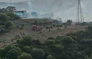 Aliağa’da makilik alanda yangın